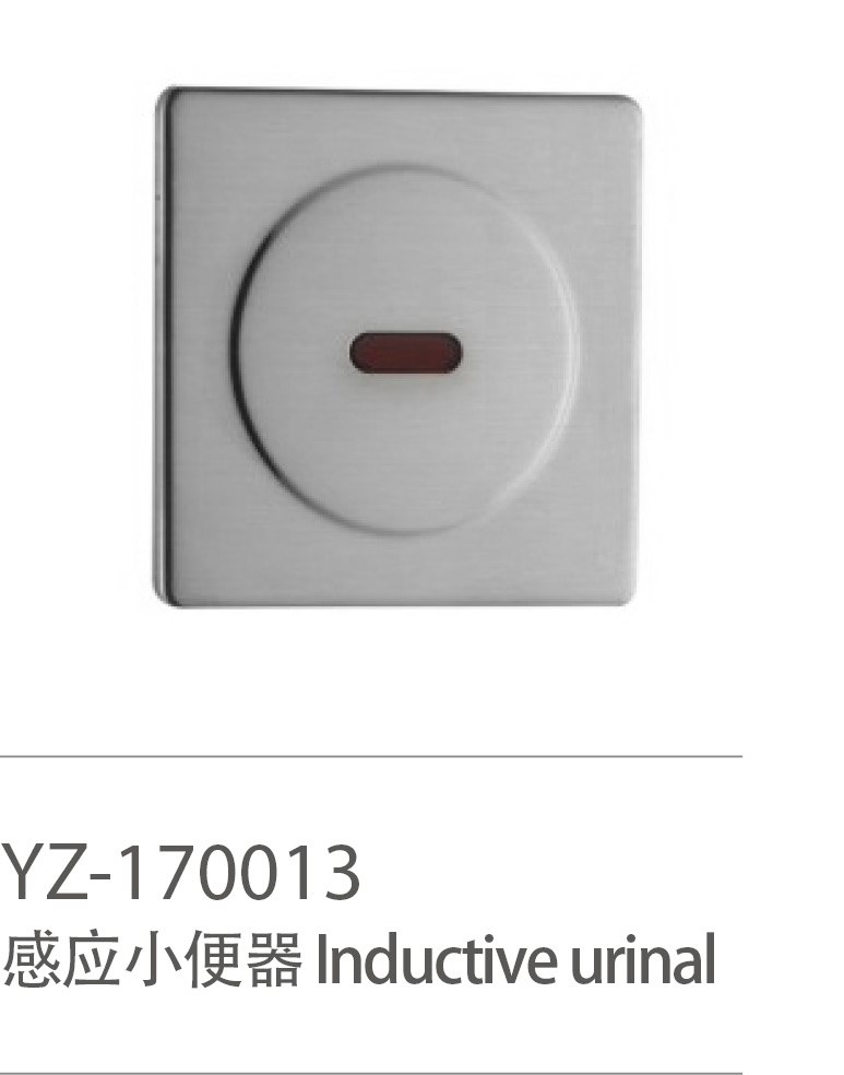 YZ-170013